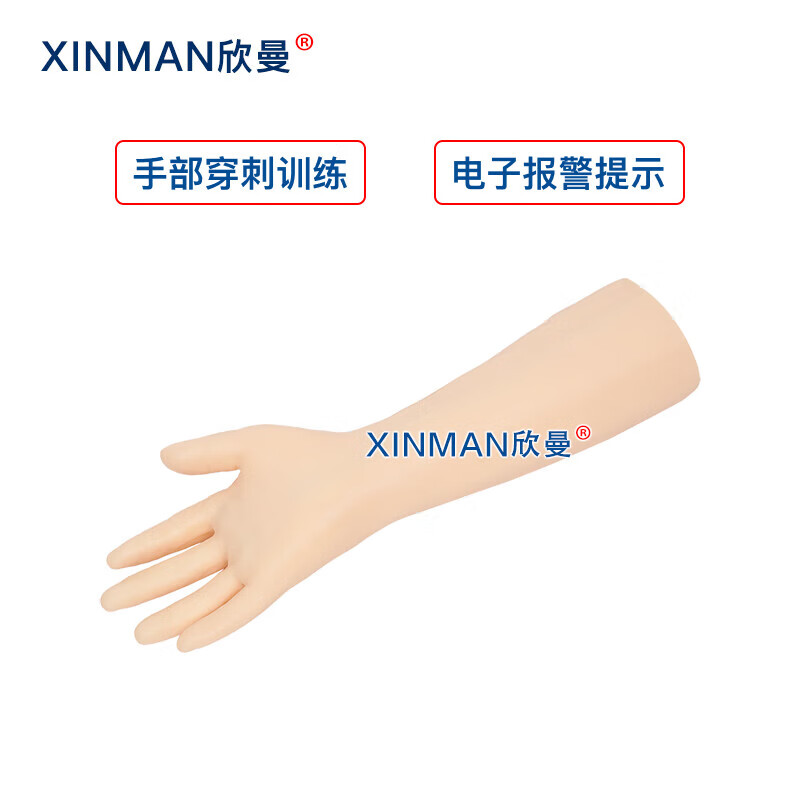 欣曼科教 高级电子手臂静脉穿刺训练模型高清大图
