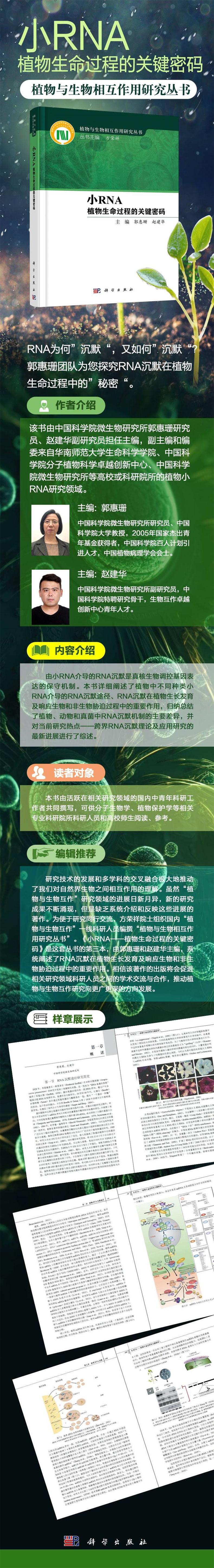 小RNA——植物生命过程的关键密码高清大图