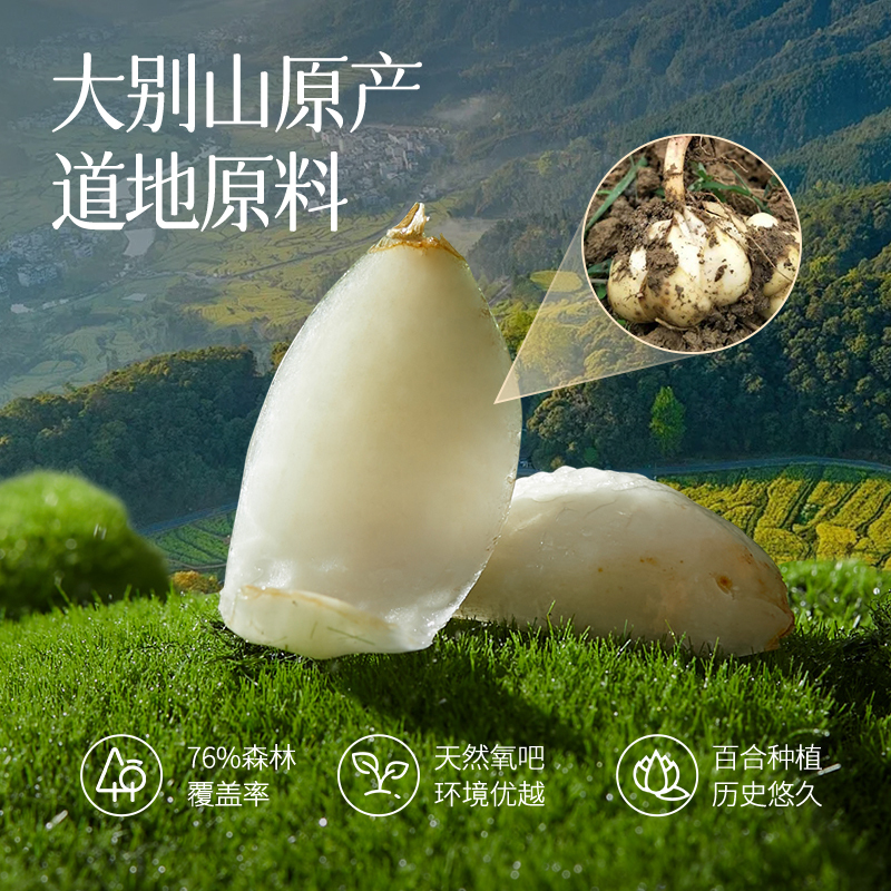 燕之坊霍山百合100g
