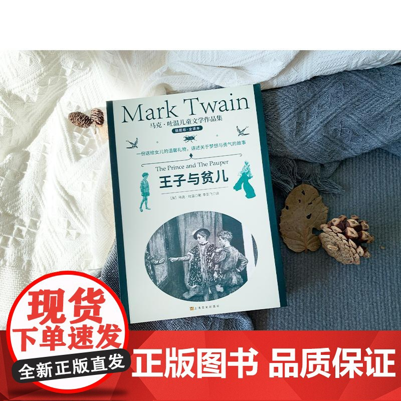 王子与贫儿 插图版·全译本 (美)马克·吐温 著 李亚飞 译 上海文化出版社 少儿中外名著 儿童文学
