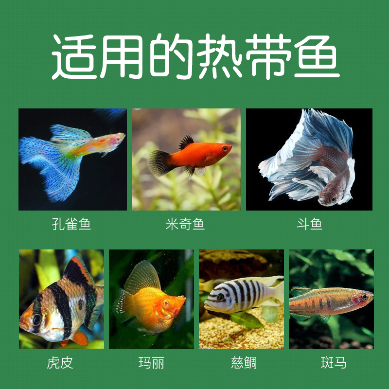 热带鱼粮增艳鱼食鱼饲料小型观赏鱼孔雀鱼通用型微颗粒薄片高清大图