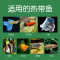 热带鱼粮增艳鱼食鱼饲料小型观赏鱼孔雀鱼通用型微颗粒薄片