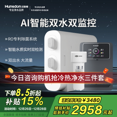 汉斯顿净水器家用直饮厨房无桶大流量500G双出水净水机ro纯水C2