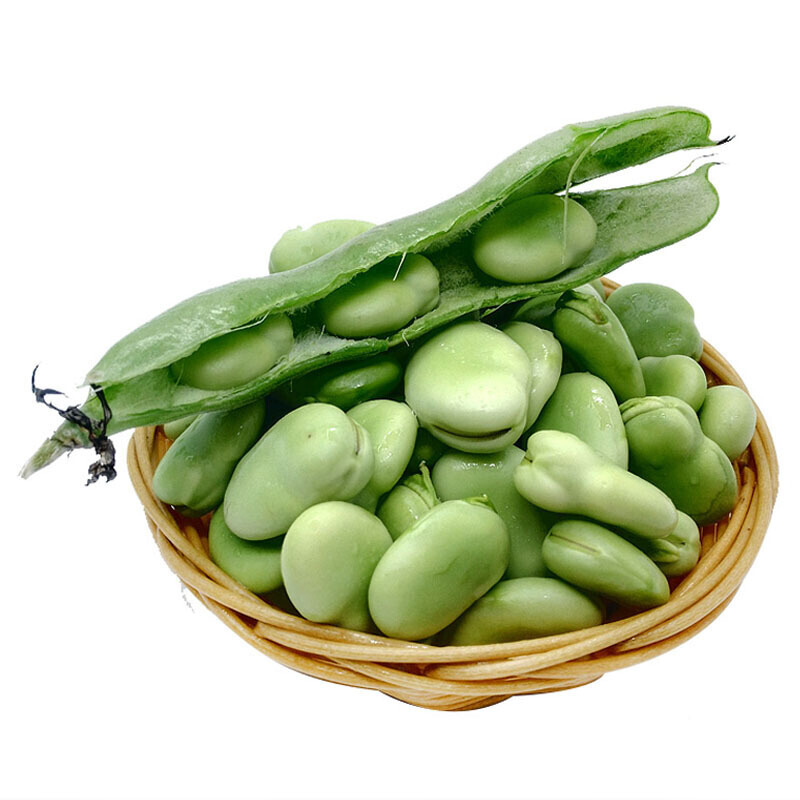 云南新鲜蚕豆自种带壳新鲜蚕豆新鲜蔬菜现摘可开发票25kg带壳蚕豆