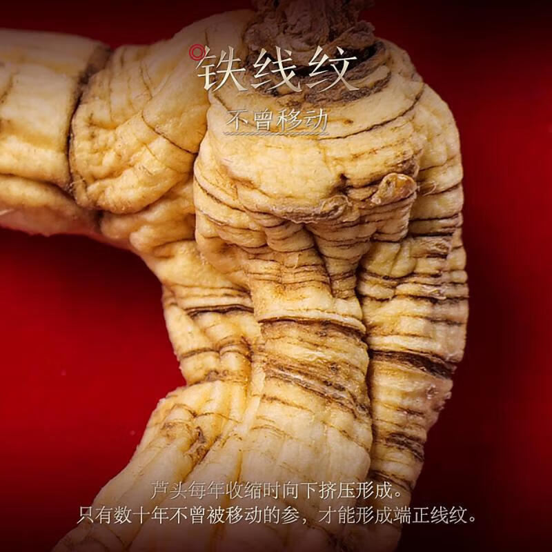 长白山人参林下参干货礼盒大补元气林下参15g*1盒