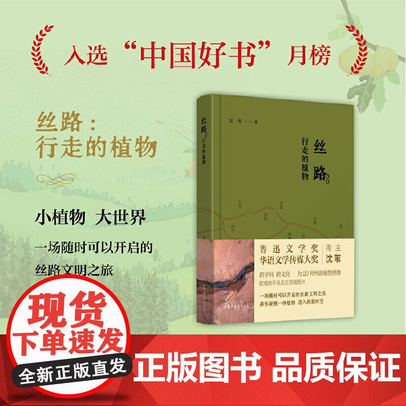 [正版]丝路:行走的植物(入选“中国好书”2023年8月榜单) 沈苇 山东文艺出版社 正版书籍高清大图