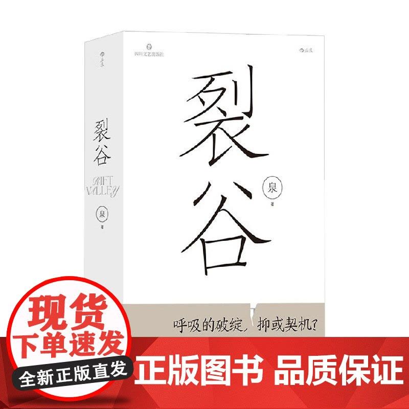 裂谷 泉 著 小说图片
