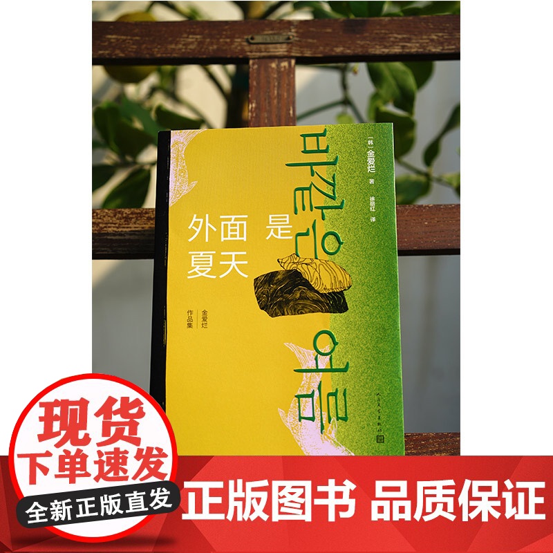 外面是夏天 金爱烂作品集你的夏天还好吗作者 韩国八零后天才女作家 笛安作序 豆瓣8.7高分 被收入669个书单 徐丽红翻高清大图