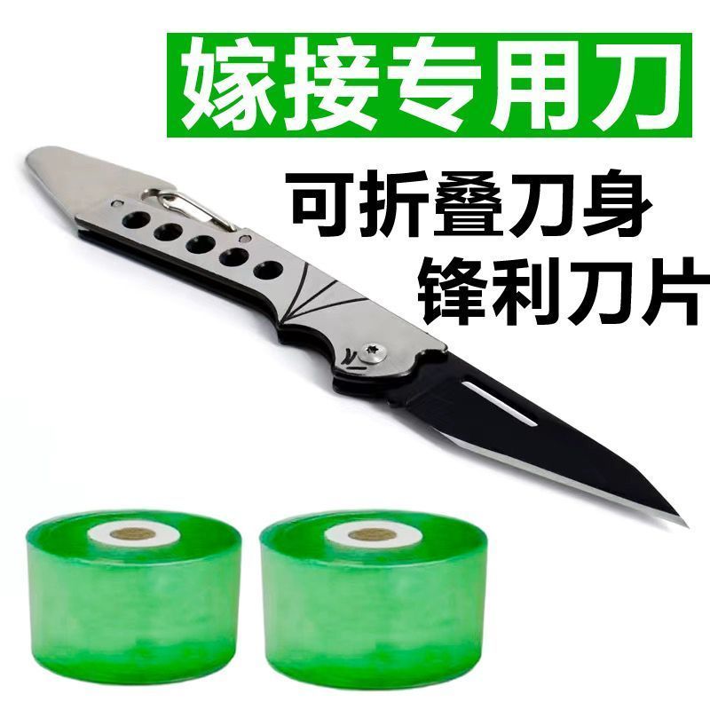 可折叠嫁接刀嫁接果树接芽刀特种钢接木专用刀削木嫁接工具嫁接膜-【嫁接刀】;【银色】2把