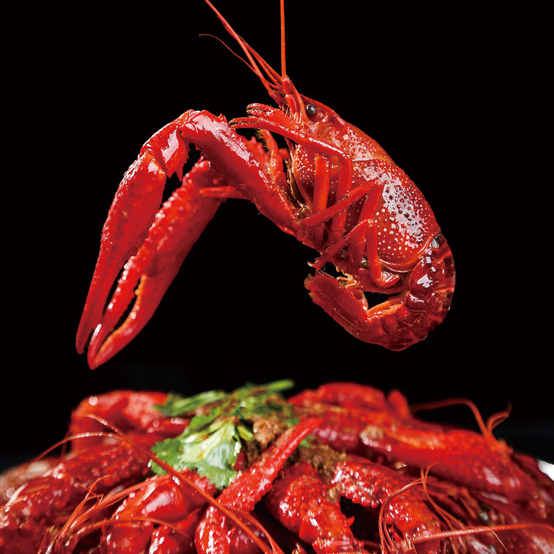 今锦上 麻辣小龙虾 900g 中号/20-30只 净虾500g 海鲜水产