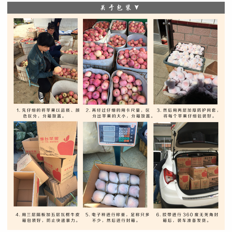 金珠泉 烟台苹果山东栖霞应季80-90mm红富士脆甜整箱28斤(10箱起发) DT 72998