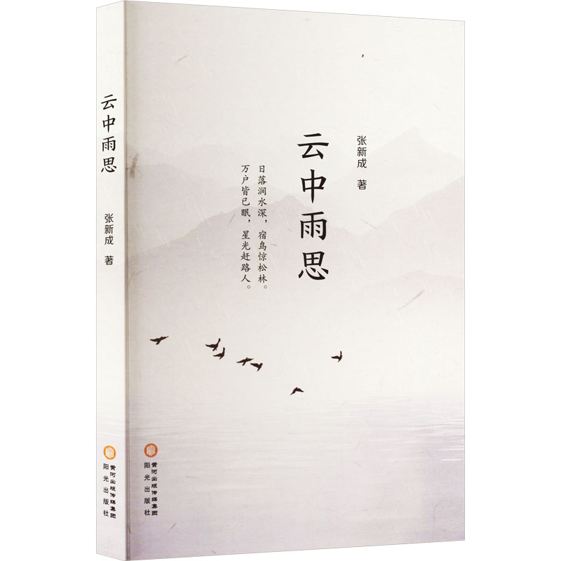 音像云中雨思张新成