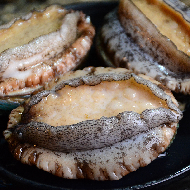 四海生鲜东山岛鲍鱼500g6只佛跳墙食材中国鲍鱼之乡新鲜海鲜水产海鲜