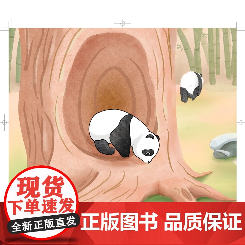 大熊猫的故事(中国珍稀物种科普丛书) 上海科技馆原创动物科普绘本讲述大熊猫的奇妙故事 艺术质感的少儿科普读物高清大图