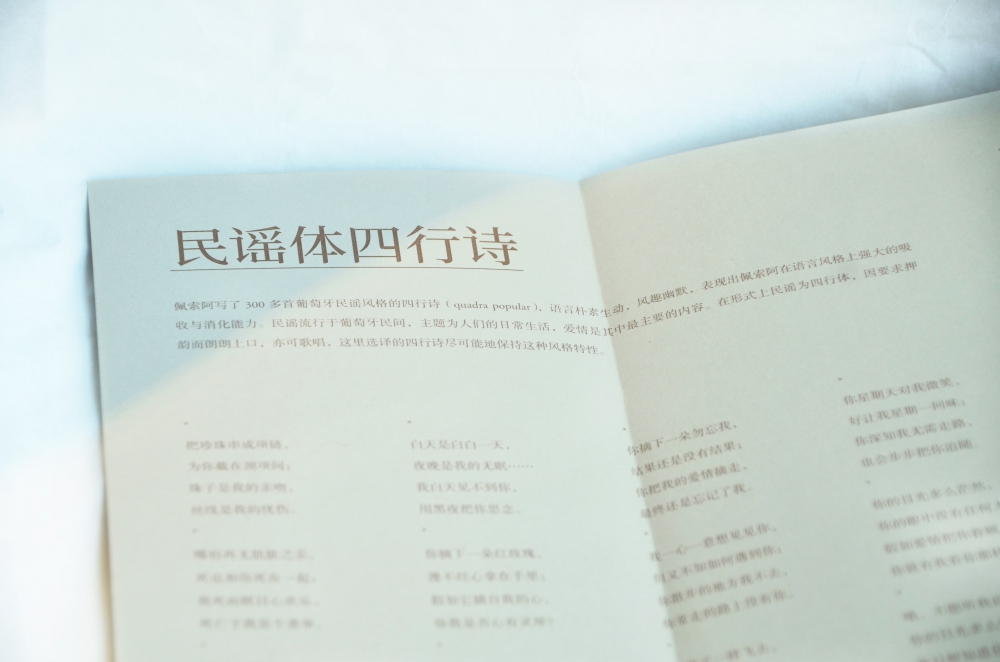 [正版]我的心迟到了 佩索阿情诗 葡萄牙诗人 佩索阿情诗集 诗歌 爱情 情诗 情书 外国文学 经典 北岛 舒婷 西川 阿高清大图