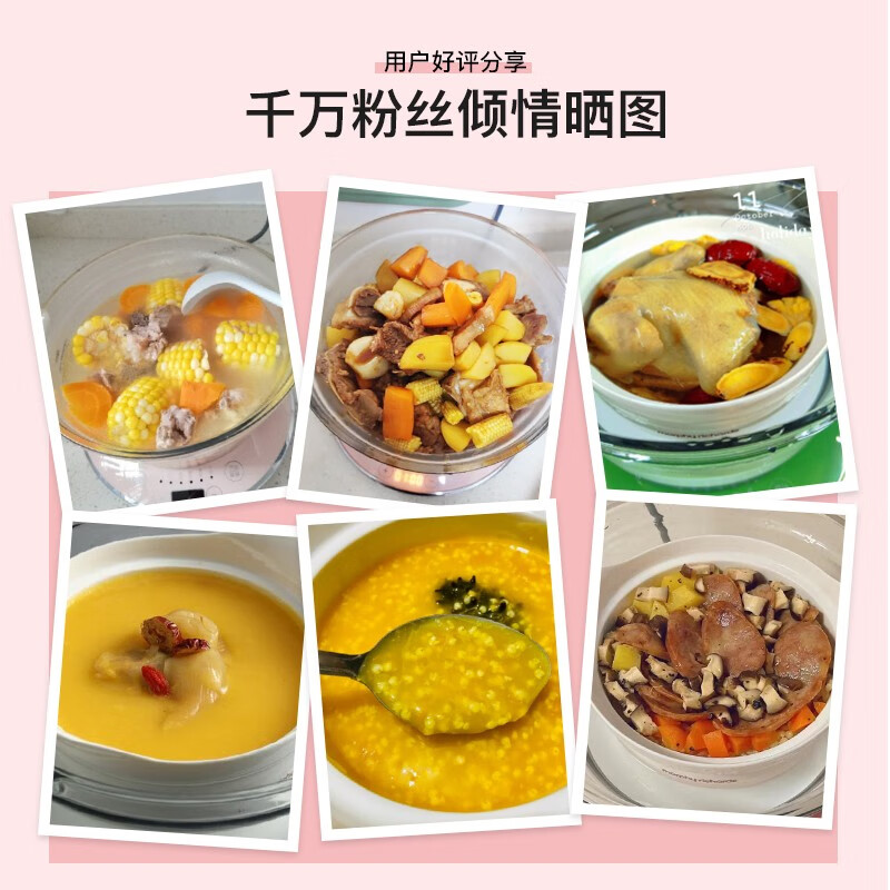 摩飞养生锅MR9081