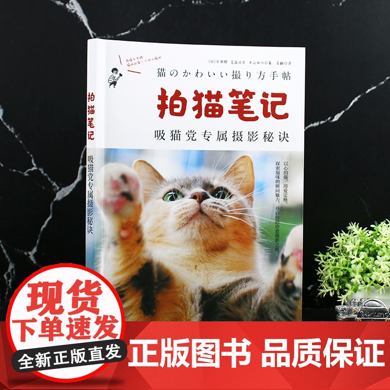拍猫笔记 猫咪摄影师吸猫党专属摄影秘诀 猫咪爱好者拍摄指南捕捉猫咪魅力秘诀基础 相机设置 光线运用 构图技巧 宠物摄影参高清大图
