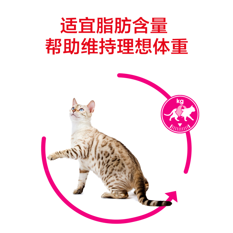 royal canin 皇家宠物食品 全能优选成猫粮-口感型2KG