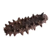 宫品淡干单只家用小海参3-3.4cm 1只 每满20只赠1只 威海大连海参双基地随机发简装
