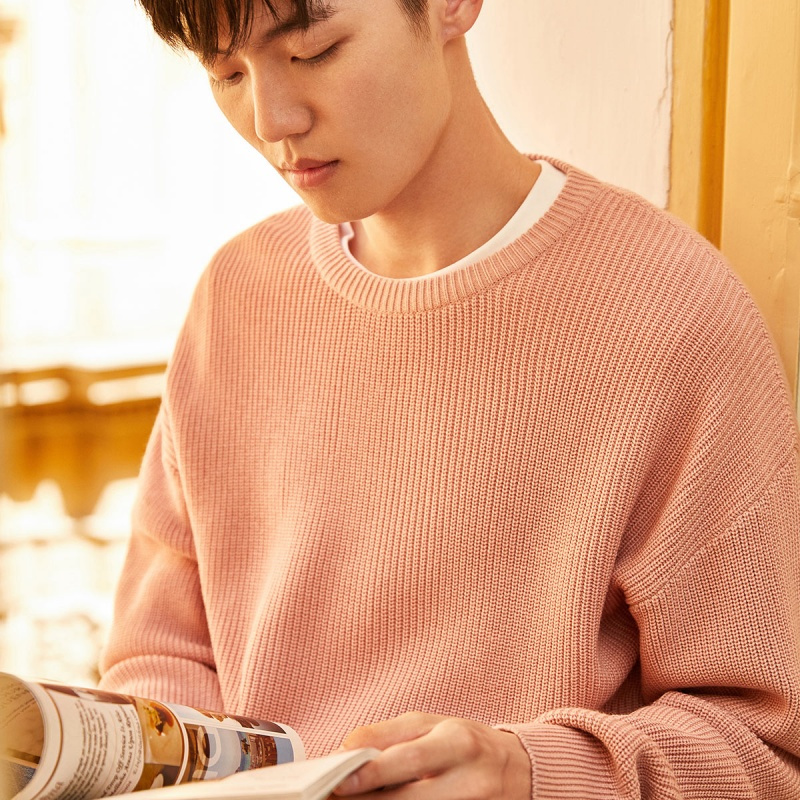 peacebird太平鸟男装粉色毛衣宽松圆领针织衫男套头毛衫潮2018冬季