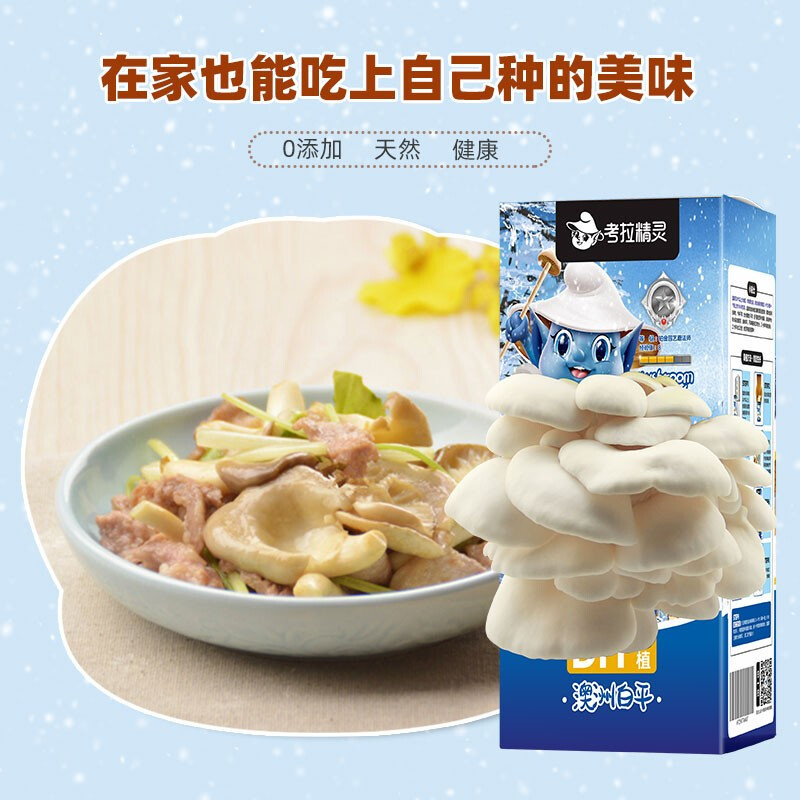 机乐堂(JOYROOM) 考拉精灵蘑菇盒子+IAM City Farmer盆栽甜椒 DIY趣味种植盆栽