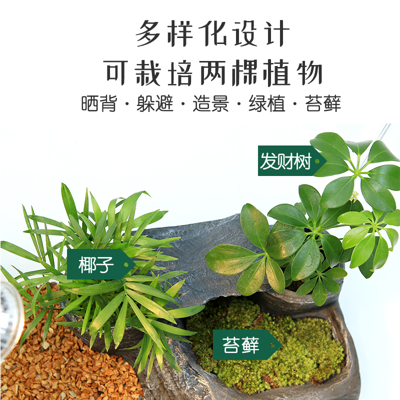 乌龟缸带晒台乌龟别墅生态龟缸养龟的专用缸免换水鱼缸水陆玻璃缸高清大图