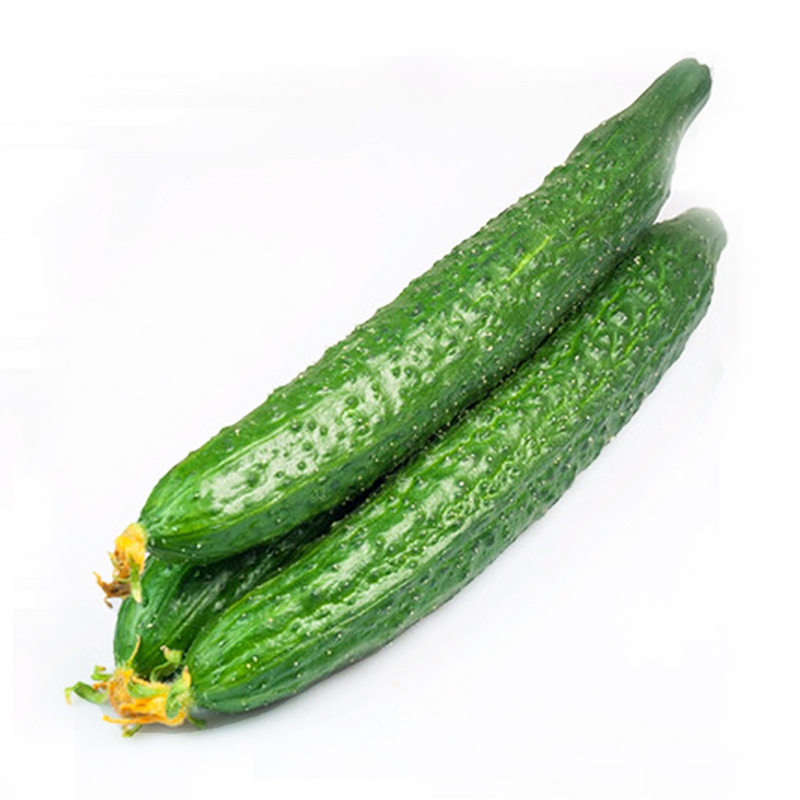 水黄瓜