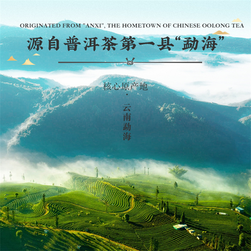 茶里(ChaLi)云南普洱茶 礼盒