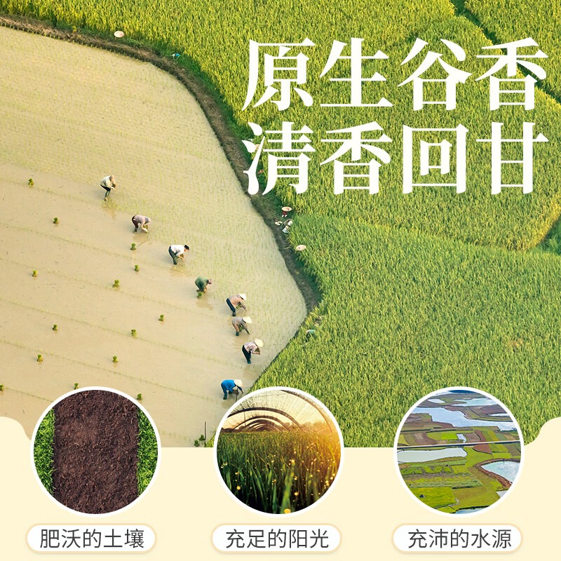 太粮 御泰坊纳象茉莉香米5kg高清大图