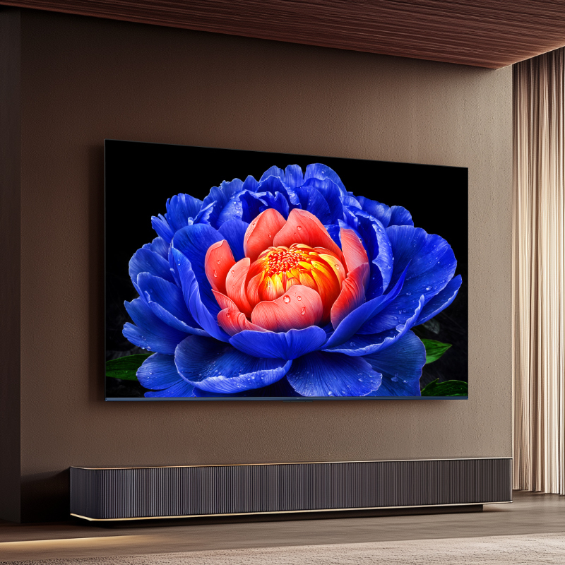 TCL电视 65V8L Pro 65英寸 144Hz QLED量子点 3GB+64GB大内存电视高清大图