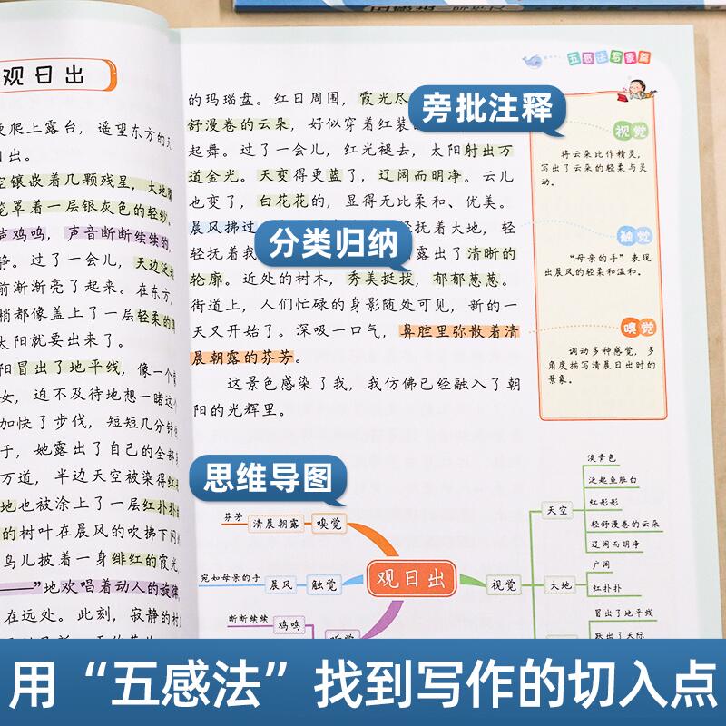 [4本]五感法2本+扩句法+同步年级作文4上 小学通用 [正版]抖音同款 2023新版五感法写作文三到六年级同步作文小学高清大图