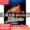 正版 翼鲎王朝 赵长发 黑龙江少年儿童出版社 9787531957645 书籍