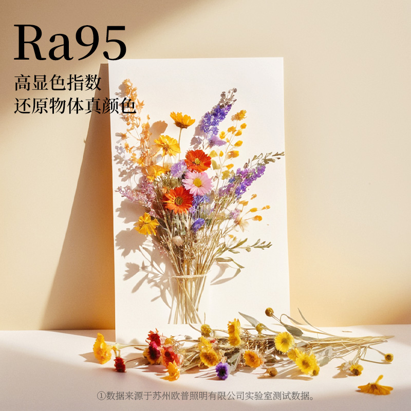 欧普吸顶灯品见全白系列高清大图