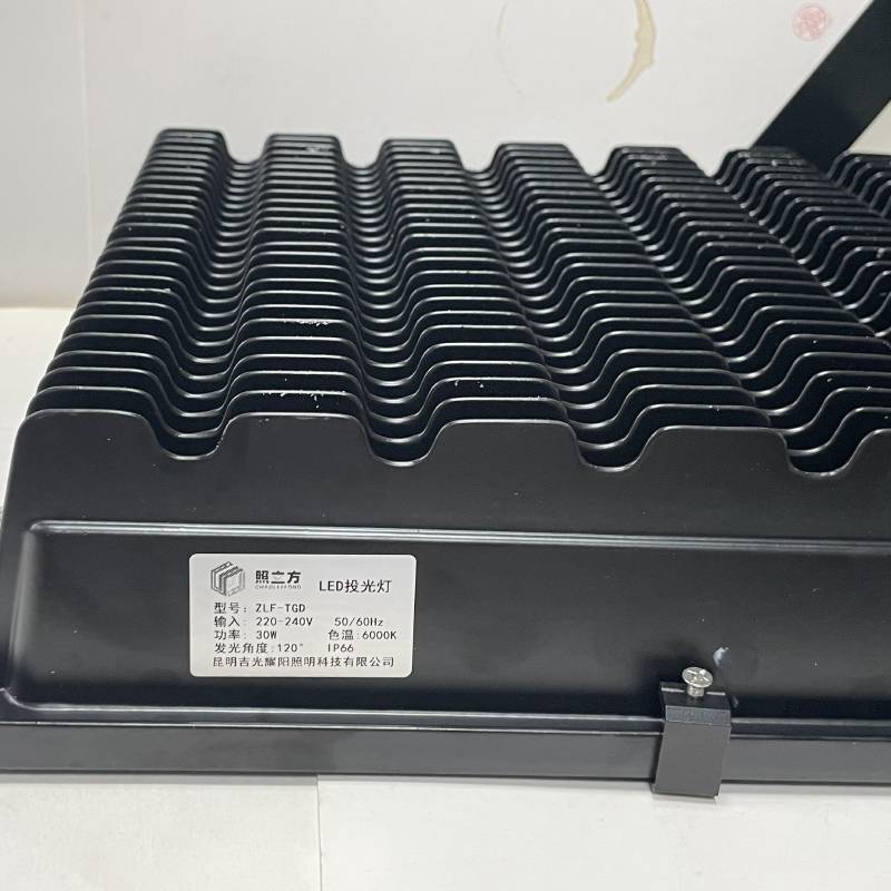 照立方 CHAOLEEFONG LED投光灯 ZLF-TGD 30w 个高清大图