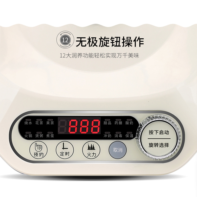 金正(NINTAUS) 1.8L养生壶 高硼硅玻璃养生壶 煮茶壶 304不锈钢发热盘 JZW-1864E