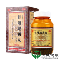 上龙 桂附地黄丸 480丸/盒