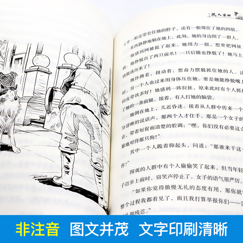 三年级下册阅读考级全套6本 [正版]灵犬莱西中国少年儿童出版社打动孩子心灵的动物小说故事书外国文学读物常熟考级书目小学生