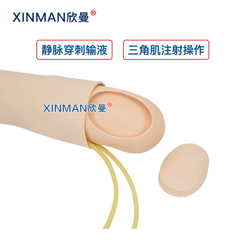 欣曼科教 静脉输液模拟训练模块 静脉穿刺输液手臂及肌肉注射模型XM-S1010高清大图