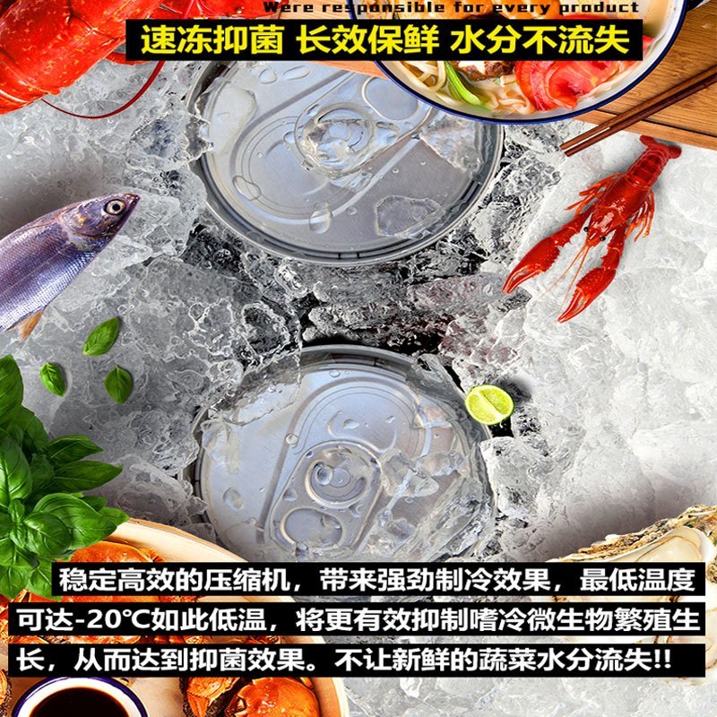 TW45-车家两用锂电续航冰虎45L车载冰箱压缩机制冷冻冷藏分区双温双控12V24V220V货车家两用手机控温冰柜