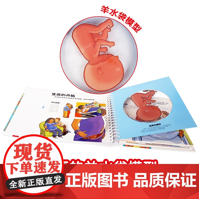 我们的身体 未来出版社 (法)帕斯卡尔·艾德兰 著 荣信文化 编 (法)罗伯特•巴尔博里尼 绘高清大图