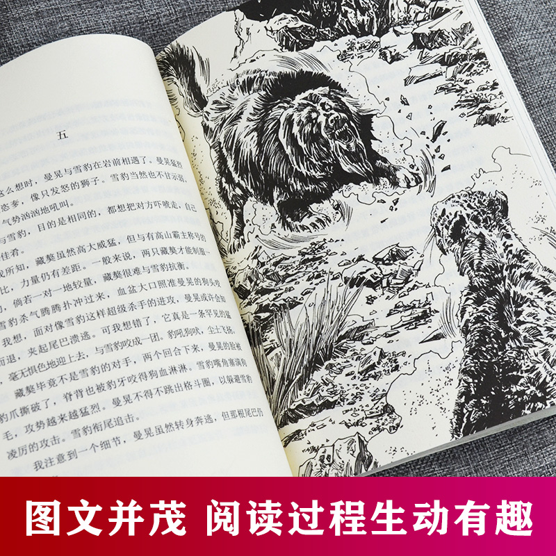 第七条猎狗 [正版]完整版第七条猎狗全本沈石溪的图书籍动物小说大王品藏系列小学生四五六年级儿童文学作品珍藏大全全集全套单高清大图