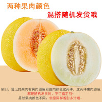 陈小四 黄河蜜瓜 5斤 黄金瓜新鲜水果甜瓜哈密瓜 苏宁 生鲜 陈小四水果