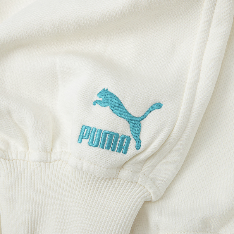 彪马(PUMA)卫衣女装新款日常通勤舒适休闲服运动上衣抽绳连帽套头衫625165-65 ZP