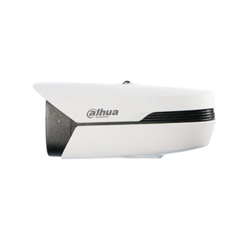 dahua 监控摄像头 DH-IPC-HFW5443M1-YL-PV-SA (含 512G 存储)高清大图
