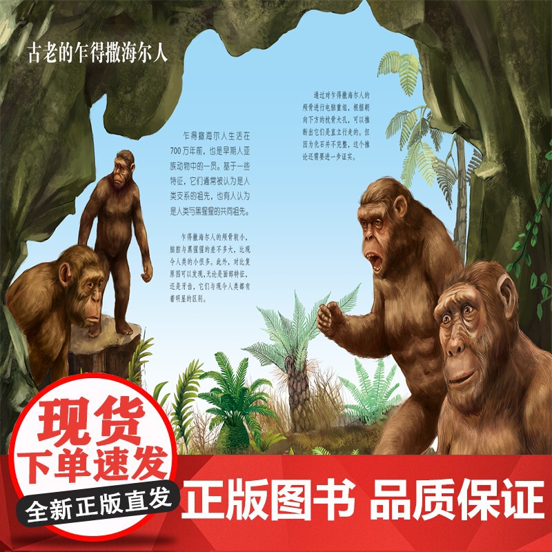 生命简史 穿越地球46亿年 从猿到人 6-12-15岁儿童中小学生青少年科普读物 宇宙起源地球形成生命诞生史前世界探索图高清大图