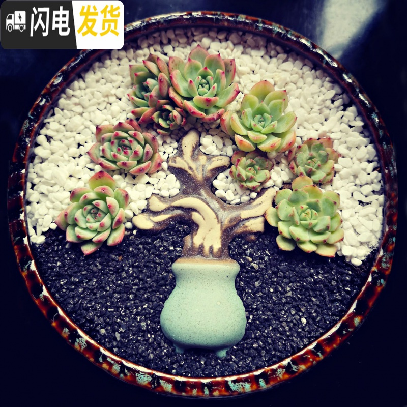 三维工匠大口径多肉花盆陶瓷粗陶透气特大号肉肉植物组合拼盘 三脚蓝+流釉套装 大花盆容器
