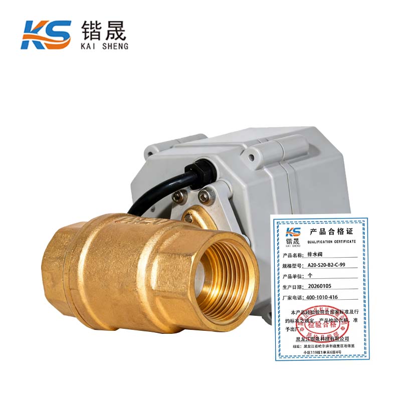 锴晟 排水阀 A20-S20-B2-C-99 个高清大图