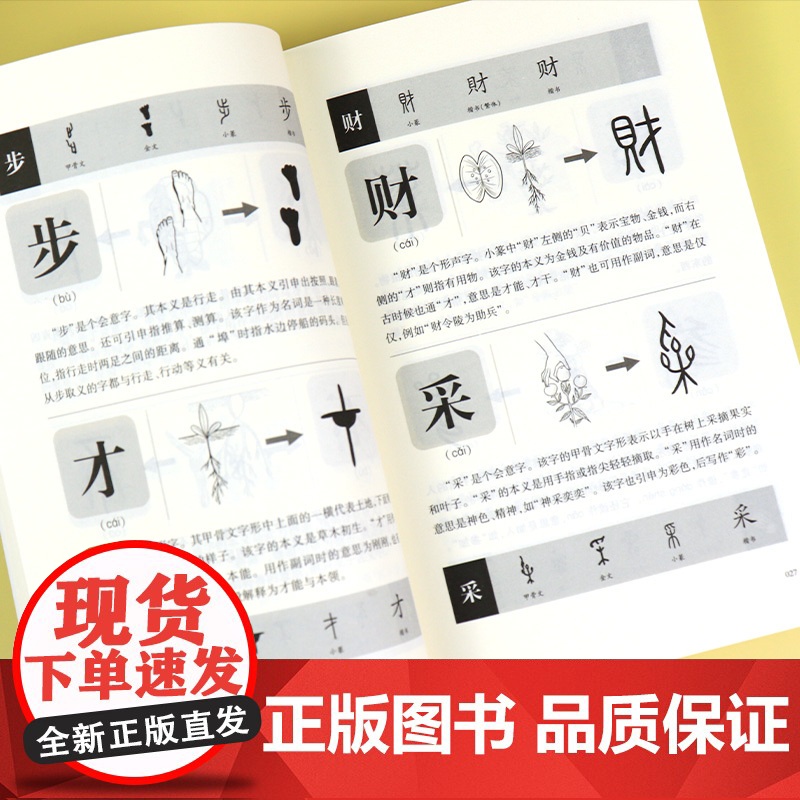 说文解字详解正版 给孩子的汉字王国许慎著 象形文字演变书图解 中小学生版注音版 古代汉语字典 儿童读物课外书学习画说部首高清大图