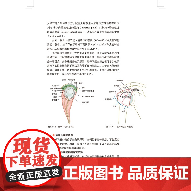 运动功能障碍 原因及评估技巧 康复 运动功能 评估 肌骨 疼痛 北京科学技术高清大图