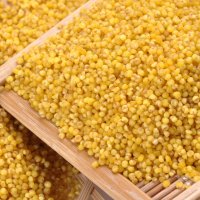 晋味美山西沁州黄小米2019新小黄米小米粥子五谷杂粗粮500g 新小米